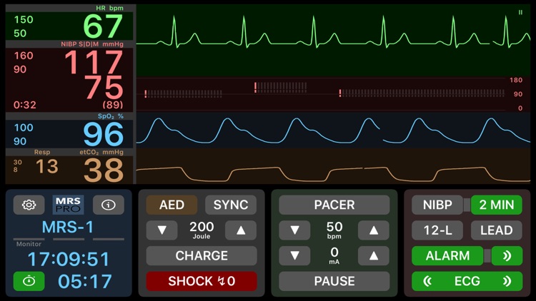 Medical Rescue Sim Pro