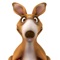 This is a tool app that introduces kangaroos