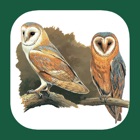 Top 38 Reference Apps Like UK Ireland Bird Identification - Best Alternatives