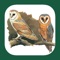 This app is an interactive companion to the book "The Handbook of Bird Identification for Europe and the Western Palearctic" – the comprehensive book for birdwatchers interested in the region