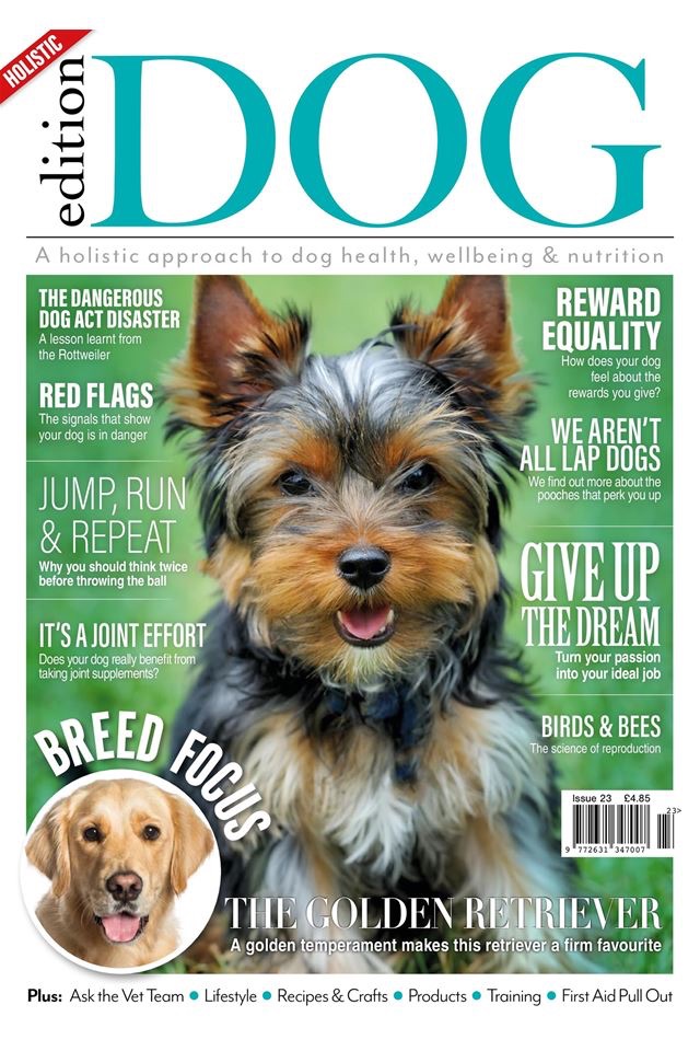 Edition Dog Magazine screenshot 3