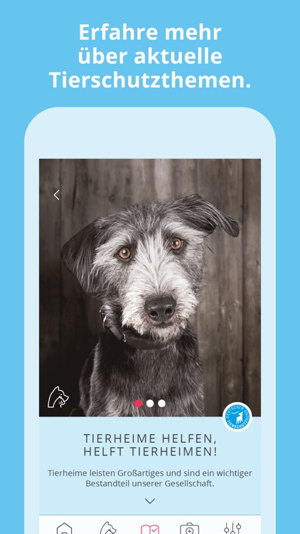 Mein Haustier screenshot-5