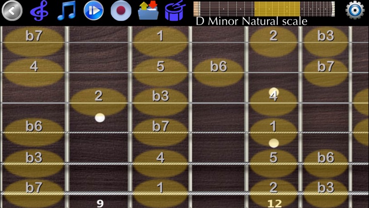 Guitar Scales & Chords