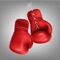 Can you become the world heavyweight champion