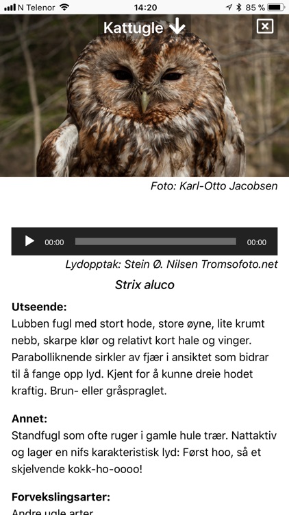 Fugler i nærmiljøet screenshot-5