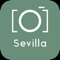 Icon Seville Guide & Tours