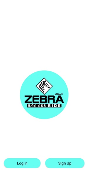 Zebra Ride Passenger