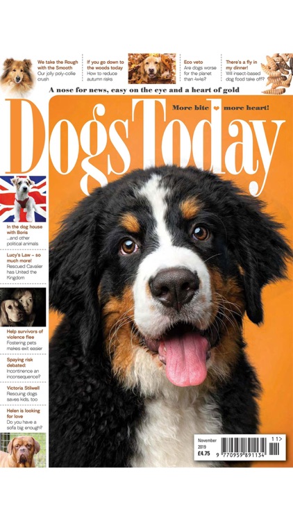 Dogs Today Magazine screenshot-9