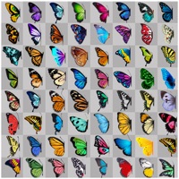 Onet Connect Butterfly