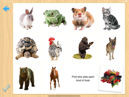 Screenshot #5 pour 2ème jeu de cartes préscolaire