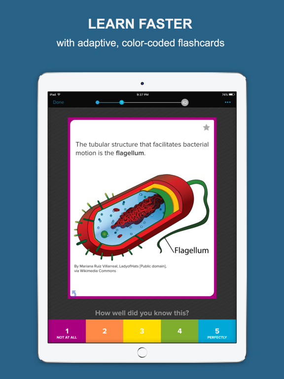 Brainscape - Smart Flashcards screenshot