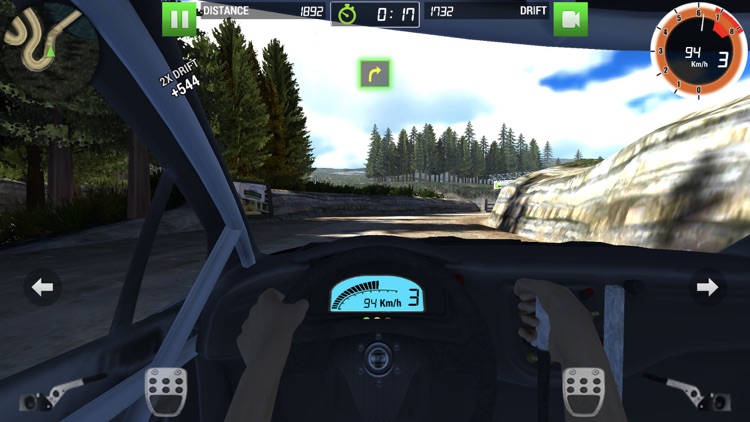 Rally Racer Dirt screenshot-4