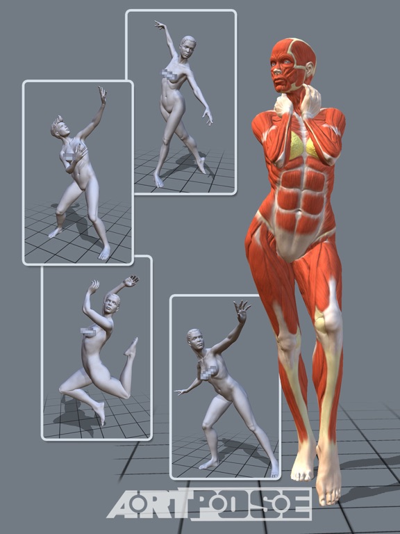 ArtPose Female Edition ArtPose Female Edition