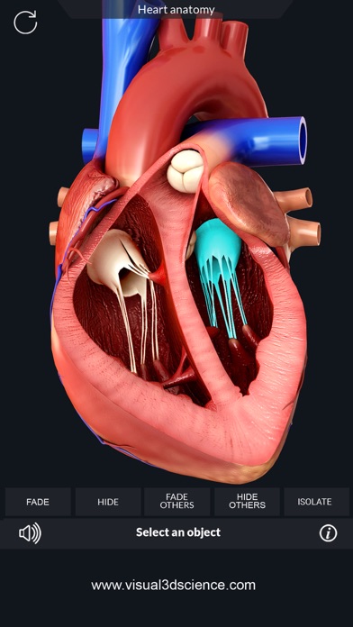 AR Heart Anatomy screenshot 2