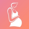 Icon Pregnancy Workout Plan