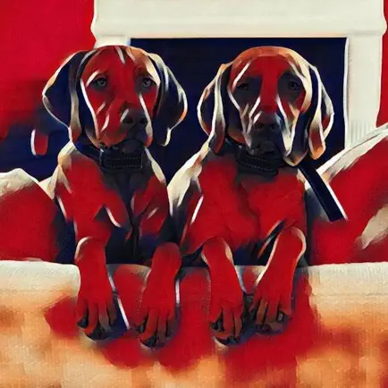 Vizsla Moji Cheats