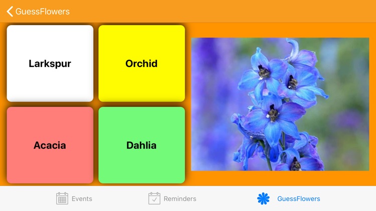 GuessFlowers screenshot-4