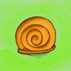 Got Snails sulawesi snails 