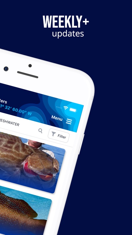 Fish Rules