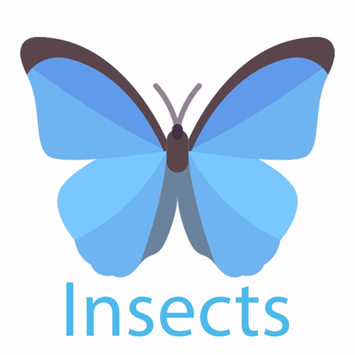 Learn Insects