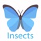 This is the best opportunity to learn all Insects