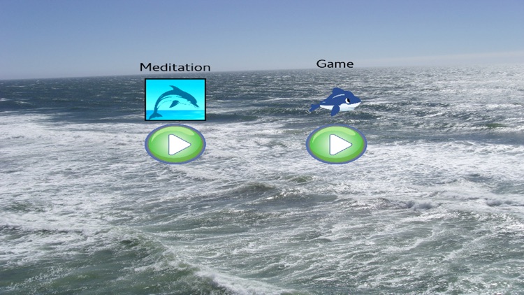 Meditation - Dolphins Whales