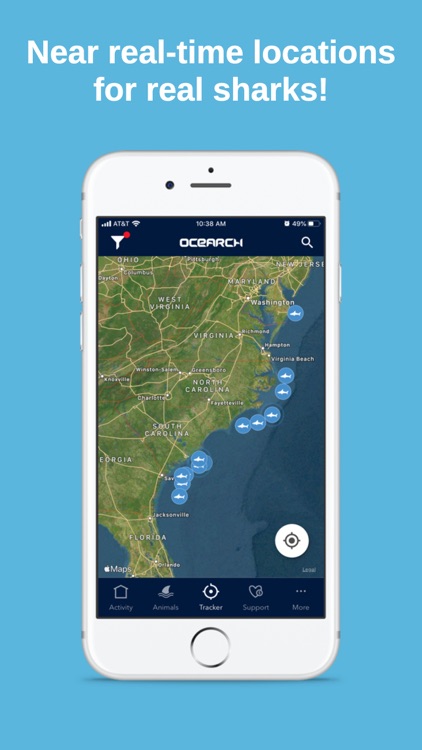 Ocearch Shark Tracker By Ocearch
