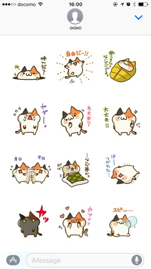 Tortoiseshell cat.(圖4)-速報App