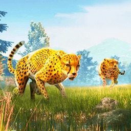 Leopard 3D Animals!