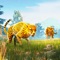 There is a type of game that allows players to play different animals and survive in different environments with high degree of freedom