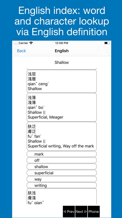 Chinsym lookup system screenshot-5