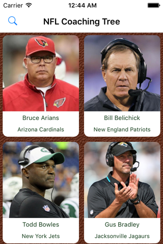 Pro Football Coaching Tree - náhled