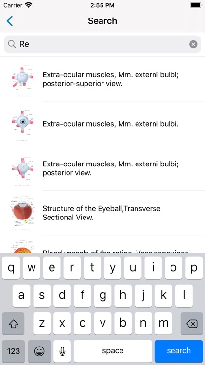 Ocular Anatomy Atlas screenshot-4