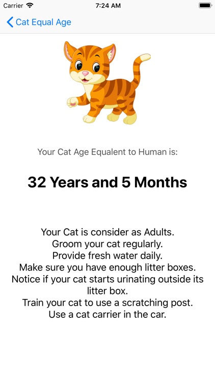 Cat Equal Age By Johnny Rolando