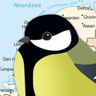 Birds of the Netherlands