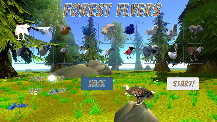 Forest Flyers