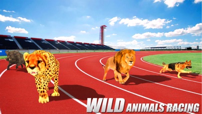 Crazy Wild Animal Racing Game screenshot 3