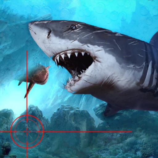 Wild Shark Sniper Hunting
