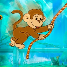 Activities of Monkey Hook