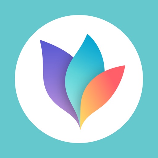 MindNode 5 – Volume License
