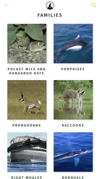 NWF Guide to Mammals