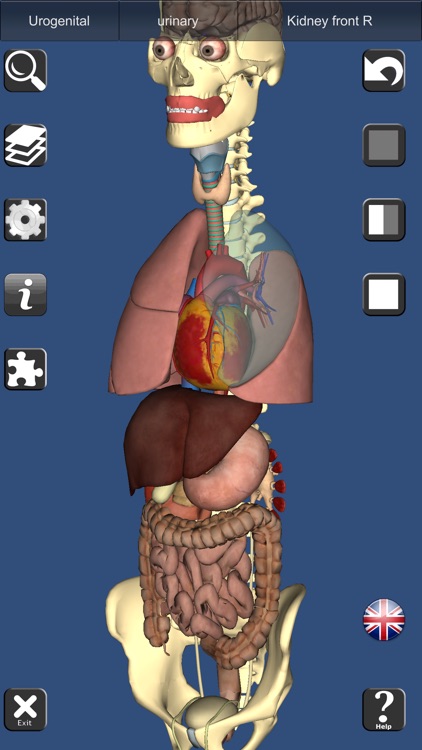 3D Anatomy Learning screenshot-3
