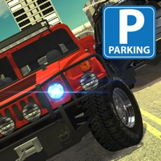 Activities of Jeep Traffic Parking Driving