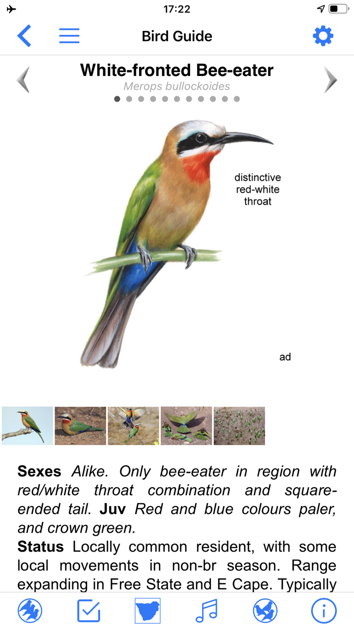 Roberts Bird Guide 2