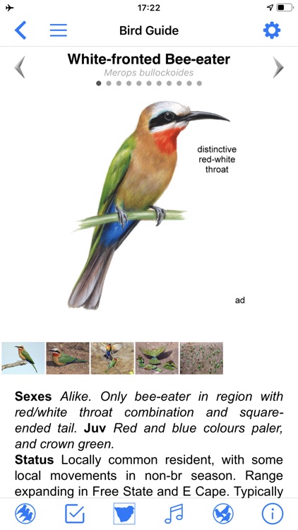 Roberts Bird Guide 2 screenshot-3