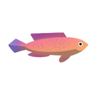 HPC Pondr pour PC