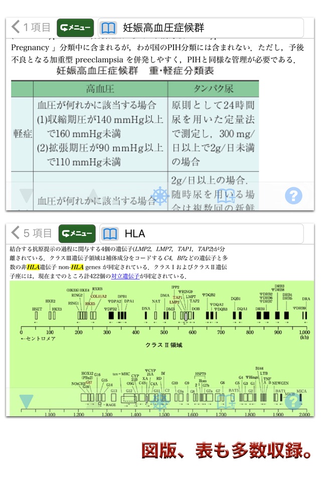 南山堂医学大辞典 第19版(ONESWING) screenshot 3