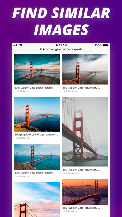 Reverse Image Search Extension Screenshots