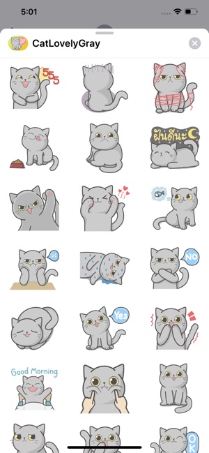 Cat Lovely Gray Sticker