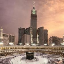 Makkah Visitors| زوار الحرمين